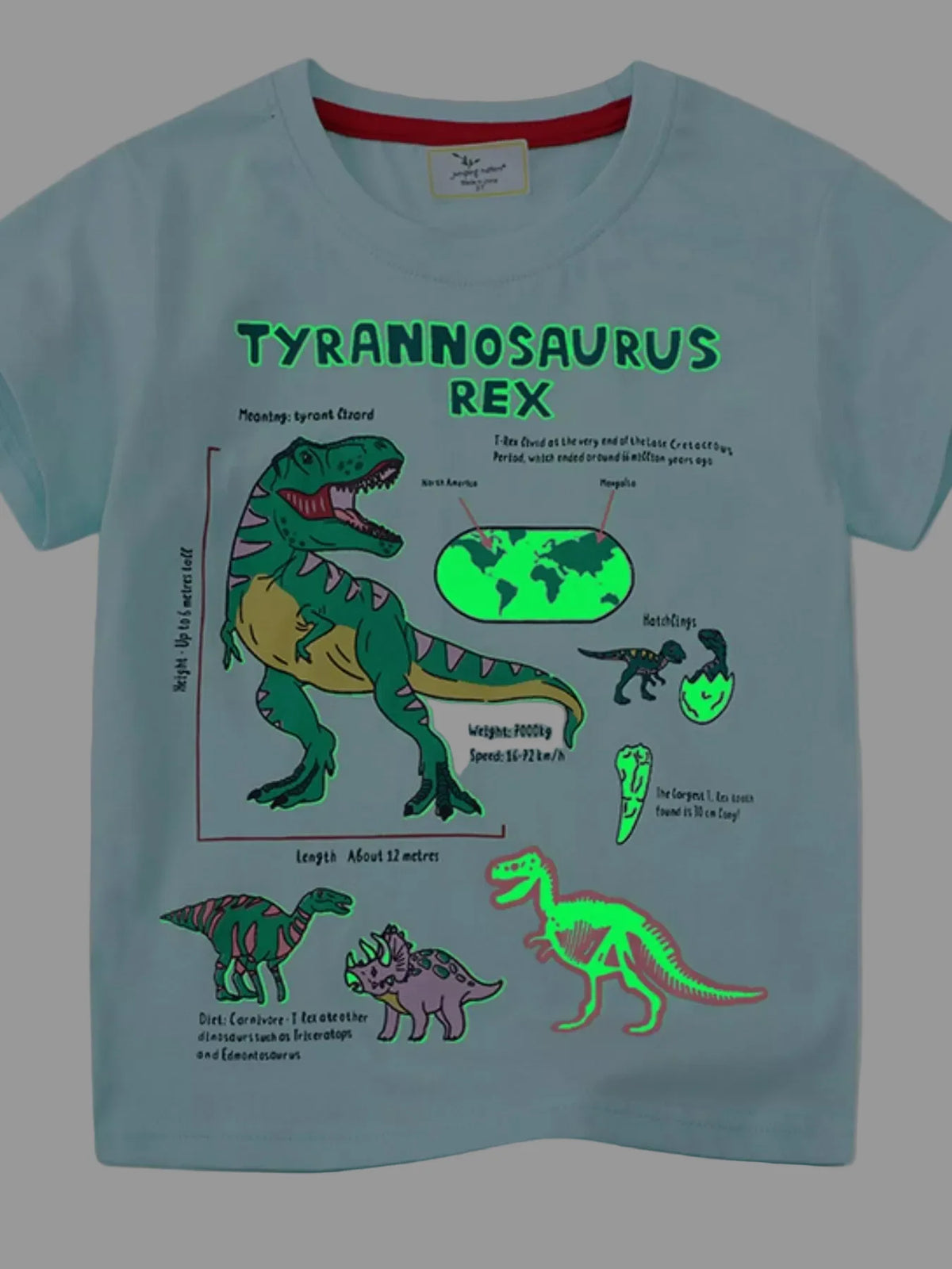 Toddler Boys Dinosaur Graphic Short Sleeve T-Shirt